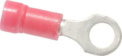 Thomas & Betts - 22-16 AWG Partially Insulated Crimp Connection D Shaped Ring Terminal - #10 Stud, 0.97" OAL x 0.31" Wide, Tin Plated Copper Contact - USA Tool & Supply