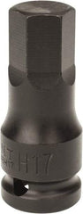 Paramount - 1/2" Drive, 17mm Impact Hex Bit Socket - 1-7/16" Bit Length, 2-5/16" OAL - USA Tool & Supply