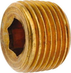 ANDERSON METALS - 1/2-14 Male Thread, Lead Free Brass Industrial Pipe Hollow Hex Plug - MNPT, 1,000 psi - USA Tool & Supply