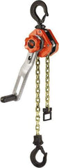 CM - 1,500 Lb Lifting Capacity, 5' Lift Height, Lever Hoist - Made from Chain, 47.2 Lb Avg Pull to Lift Rated Load, 1 Chain - USA Tool & Supply