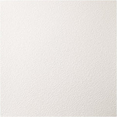 Genesis - Pack of 12 Stucco Pro 23-3/4" x 23-3/4" x 0.197" Vinyl Ceiling Tiles - USA Tool & Supply