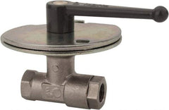 Legris - 3/8" Pipe, Female Port, Nickel Plated Brass Standard Ball Valve - Inline - One Way Flow, FBSPP x FBSPP Ends, Lever Handle, 580 WOG - USA Tool & Supply