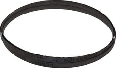 Lenox - 10 to 14 TPI, 13' 3" Long x 1/2" Wide x 0.025" Thick, Welded Band Saw Blade - Bi-Metal, Toothed Edge, Modified Raker Tooth Set, Flexible Back, Contour Cutting - USA Tool & Supply