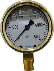 Wika - 2-1/2" Dial, 1/4 Thread, 0-5,000 Scale Range, Pressure Gauge - Lower Connection Mount, Accurate to 1.5% of Scale - USA Tool & Supply
