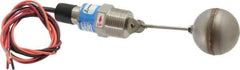 Thomas Products Ltd. - 1" Thread, 900 Max psi, 300°F Max, Liquid Level Side Mounted Float Switches - SST Stem - USA Tool & Supply