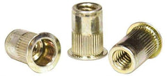 RivetKing - 0.13 to 0.225" Grip, Steel Standard Rivet Nut - Zinc Yellow Dichromate Finish, Flange Head - USA Tool & Supply