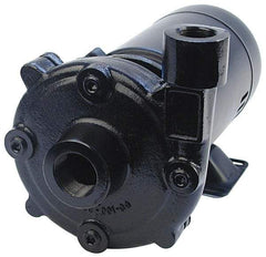 Pentair - ODP Motor, 115/208-230 Volt, 1 Phase, 1/2 HP, Cast Iron Straight Pump - 1-1/4 Inch Inlet, 1 Inch Outlet, 82 Max Head psi, Bronze Impeller, Cast Iron Shaft, Viton Seal, 82 Ft. Shut Off - USA Tool & Supply