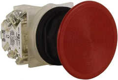 Schneider Electric - 30mm Mount Hole, Extended Straight, Pushbutton Switch with Contact Block - Red Pushbutton, Momentary (MO) - USA Tool & Supply