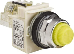 Schneider Electric - 120 VAC Yellow Lens LED Indicating Light - Screw Clamp Connector - USA Tool & Supply