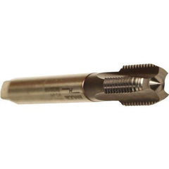 Emuge - M45x4.50 Metric Coarse 6HX 4 Flute TiCN Finish Cobalt Straight Flute Machine Tap - Modified Bottoming, Right Hand Thread, 220mm OAL, 58mm Thread Length, Oversize - Exact Industrial Supply