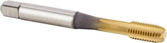 Kennametal - #10-32 UNF 3BX 3 Flute TiCN/TiN Finish Powdered Metal Straight Flute Machine Tap - Modified Bottoming, Right Hand Thread, 59.94mm OAL, 11.94mm Thread Length, Oversize - Exact Industrial Supply