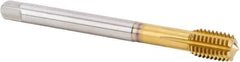 Kennametal - M12x1.75 Metric Coarse 6HX Modified Bottoming Thread Forming Tap - Powdered Metal High Speed Steel, TiN Finish, 110mm OAL, 18mm Thread Length, Right Hand Thread, Series T622 - USA Tool & Supply