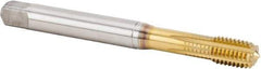 Kennametal - M10x1.50 Metric Coarse 6HX Modified Bottoming Thread Forming Tap - Powdered Metal High Speed Steel, TiN Finish, 100mm OAL, 16mm Thread Length, Right Hand Thread, Series T622 - USA Tool & Supply