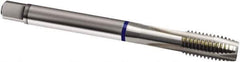 Guhring - #6-40 UNF, 3 Flute, Bright Finish, Cobalt Spiral Point Tap - Plug Chamfer, Right Hand Thread, 56mm OAL, 2B Class of Fit, Series 1990 - Exact Industrial Supply