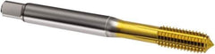 Guhring - M6x1.00 Metric 6HX D8/D9 Thread Limit Bottoming Thread Forming Tap - Cobalt, TiN Finish, 80mm OAL, Series 919 - USA Tool & Supply