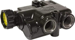 Parker - 30 GPM 3/4 Inlet Cast Iron Hydraulic Control Valve - 1-1/16 - 12 Thread, 3,000 psi, 2.44" Wide x 6.58" Long - USA Tool & Supply