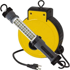 Value Collection - 120 Volt, 5 Watt, Electric, LED Portable Drop Light Work Light - 30' Cord, 1 Head, 300 Lumens, ABS - USA Tool & Supply