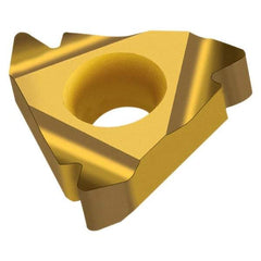 Walter - NTS-ER16 External Right Hand 14 Whitworth Laydown Threading Insert - Grade WXP20, TiN Coated Carbide, 9.53mm Inscribed Circle - USA Tool & Supply
