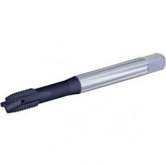 VTSPO9919 M20 X 2.5 6H 3F PLUG CH - USA Tool & Supply