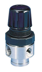Parker - 1/2 NPT Port, 80 CFM, Stainless Steel Standard Regulator - 0 to 250 psi Range, 300 Max psi Supply Pressure, 1/4" Gauge Port Thread, 2.43" Wide x 4.97" High - USA Tool & Supply