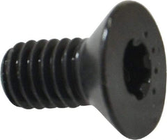 Camcar - 5/16-18 UNC Torx Plus Drive, 82° Flat Screw - Alloy Steel, Black Oxide Finish, Fully Threaded, 5/8" OAL - USA Tool & Supply