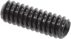 Made in USA - #2-56 UNC, 1/4" Length Under Head, Cup Point Set Screw - Grade 8 Alloy Steel, 0.035" Key - USA Tool & Supply