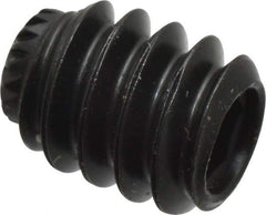 Made in USA - #10-24 UNC, 1/4" Length Under Head, Knurled Cup Point Set Screw - Grade 8 Alloy Steel, 3/32" Key - USA Tool & Supply