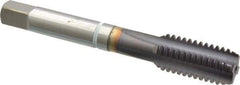 Guhring - 1/2-13 UNC 2B 4 Flute FIREX Finish Cobalt Straight Flute Machine Tap - Modified Bottoming, Right Hand Thread, 3-3/8" OAL, Oversize - Exact Industrial Supply