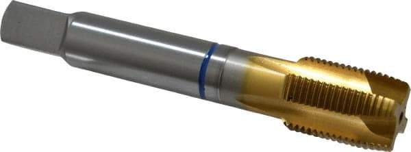 Guhring - 3/4-16 UNF, 4 Flute, TiN Finish, Powdered Metal Spiral Point Tap - Plug Chamfer, Right Hand Thread, 4-1/4" OAL, 1.299" Thread Length, 0.59" Shank Diam, 2B Class of Fit, Series 3908 - Exact Industrial Supply