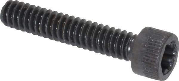 Camcar - #10-24 UNC Torx Plus Drive, Socket Cap Screw - Alloy Steel, Black Oxide Finish, Fully Threaded, 1" Length Under Head - USA Tool & Supply