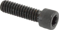 Camcar - 1/4-20 UNC Torx Plus Drive, Socket Cap Screw - Alloy Steel, Black Oxide Finish, Fully Threaded, 7/8" Length Under Head - USA Tool & Supply