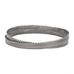 Lenox - 2 to 3 TPI, 12' 6" Long x 1-1/4" Wide x 0.042" Thick, Welded Band Saw Blade - Bi-Metal, Toothed Edge, Raker Tooth Set, Flexible Back, Contour Cutting - USA Tool & Supply