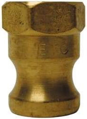 EVER-TITE Coupling Products - 4" Brass Cam & Groove Suction & Discharge Hose Male Adapter Female NPT Thread - Part A, 4" Thread, 100 Max psi - USA Tool & Supply