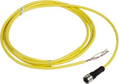 Telemecanique Sensors - 4 Amp, 1/2-20 UNF 3 Pin Female Straight Cordset Sensor and Receptacle - 250 VAC, 300 VDC, 2m Cable Length, IP67 Ingress Rating - USA Tool & Supply