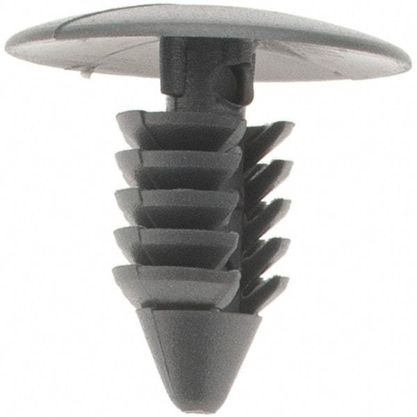 Value Collection - Ratchet Shank, Nylon Panel Rivet - 5/8" Length Under Head, 11/16" Head Diam - USA Tool & Supply