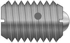 Vlier - M8x1.25, 5mm Ball Diam, 16mm Body Length, 1.5mm Max Ball Reach, Threaded Ball Plunger - Stainless Steel Body, Stainless Steel Ball, 1.12 Lb Initial End Force, 2.25 Lb Final End Force, Locking Element - USA Tool & Supply