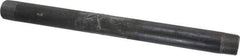 B&K Mueller - Schedule 40, 3/4" Diam x 12" Long Steel Black Pipe Nipple - Threaded - USA Tool & Supply