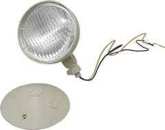 Mule - 1 Head, 12 VDC, Polycarbonate, Incandescent Remote Emergency Lighting Head - 25 Watt, Battery Not Included - USA Tool & Supply