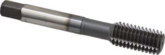 Accupro - 1/2-13 UNC H5 Thread Limit Bottoming Thread Forming Tap - Powdered Metal High Speed Steel, TiCN Finish, 3-3/8" OAL - USA Tool & Supply