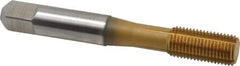 Accupro - 3/8-24 UNF H5 Thread Limit Bottoming Thread Forming Tap - Powdered Metal High Speed Steel, TiN Finish, 2-15/16" OAL - USA Tool & Supply