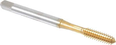Accupro - #10-24 UNC H5 Thread Limit Plug Thread Forming Tap - Powdered Metal High Speed Steel, TiN Finish, 2-3/8" OAL - Exact Industrial Supply