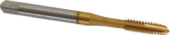 Accupro - #10-24 UNC, 3 Flute, TiN Finish, Powdered Metal Spiral Point Tap - Plug Chamfer, Right Hand Thread, 2-3/8" OAL, 2B/3B Class of Fit - Exact Industrial Supply
