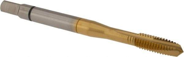 Accupro - M4x0.70 Metric Coarse, 3 Flute, TiN Finish, Powdered Metal Spiral Point Tap - Plug Chamfer, Right Hand Thread, 2-1/8" OAL, 6H Class of Fit - Exact Industrial Supply