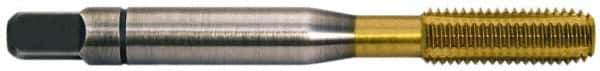 Balax - #10-24 UNC 2B H5 Thread Limit Bottoming Thread Forming Tap - Powdered Metal High Speed Steel, TiN Finish, 2-3/8" OAL, 0.6" Thread Length, Right Hand Thread, Series BXSTAINLESS - USA Tool & Supply