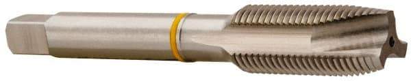 Accupro - 5/8-18, 3 Flute, Bright Finish, Vanadium High Speed Steel Spiral Point Tap - Plug Chamfer, Right Hand Thread, 3-13/16" OAL, 32mm Thread Length, 12.192mm Shank Diam, 2B Class of Fit - Exact Industrial Supply