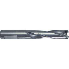Guhring - 31.5mm Max Diam, 3xD, 31.75mm Shank Diam, 214mm OAL, Replaceable Tip Drill - HT 800 WP Insert, 31.005 HT800 Toolholder, Series 4107 - USA Tool & Supply