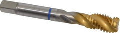 Guhring - 1/2-13 UNC 3 Flute 2B Modified Bottoming Spiral Flute Tap - Powdered Metal, TiN Finish, 3-3/8" OAL, Right Hand Flute, Right Hand Thread, Series 3910 - USA Tool & Supply