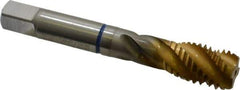 Guhring - 5/8-11 UNC 4 Flute 2B Modified Bottoming Spiral Flute Tap - Powdered Metal, TiN Finish, 3-13/16" OAL, Right Hand Flute, Right Hand Thread, Series 3910 - Exact Industrial Supply