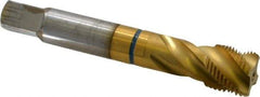 Guhring - 3/4-16 UNF 4 Flute 2B Modified Bottoming Spiral Flute Tap - Powdered Metal, TiN Finish, 4-1/4" OAL, Right Hand Flute, Right Hand Thread, Series 3911 - Exact Industrial Supply