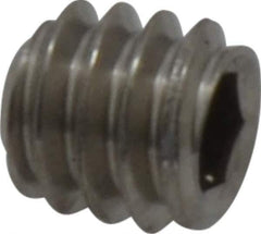 Value Collection - 1/4-20 UNC, 1/4" OAL, Flat Point Set Screw - Grade Austenitic A2 Stainless Steel, 1/8" Key - USA Tool & Supply